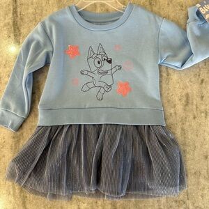 Bluey Sweatshirt Dress Size 2T